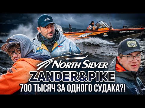 Видео: 700 тысяч за одного судака? Миф или реальность? | Рыболовный турнир NorthSilver Zander&Pike