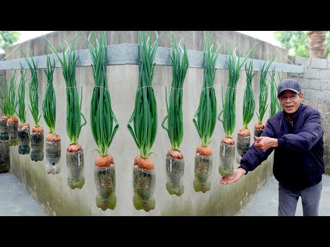 Видео: Я сделал это с луком... и никто не мог поверить в результат! 😳🧅