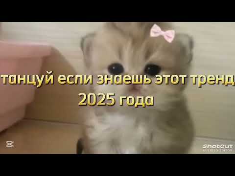 Видео: Танцуй ЕСЛИ ЗНАЕШЬ ЭТОТ ТРЕНД 2025 ГОДА 🎧🎶🧁