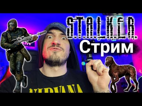 Видео: Играем в #STALKER Anomaly GAMMA