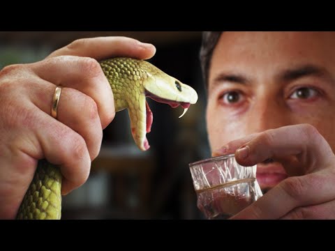 Видео: Как лошади спасают людей от укусов змей? [Veritasium]