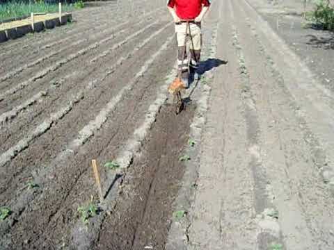 Видео: Чудо резак для бурьяна