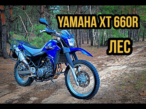 Видео: Yamaha XT660R Мысли на ходу.