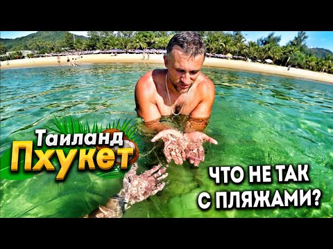 Видео: ПХУКЕТ- КАК ВЫБРАТЬ ЛУЧШИЙ ПЛЯЖ? ПАТОНГ- КАРОН - КАТА. СКОЛЬКО СТОИТ ЖИЗНЬ НА ОСТРОВЕ? ШОК  ОТ МОРЯ