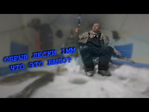 Видео: НАЛИМ НА СТУК | ЖОР ПОСЛЕ НЕРЕСТА | ПОДВОДНЫЕ СЪЕМКИ КАМЕРОЙ FOCUS FISH
