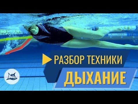 Видео: Разбор техники плавания кролем №9. Ошибки на вдохе и в гребке.