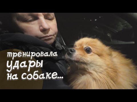 Видео: СОБАКА - БОКСЁРСКАЯ ГРУША?!