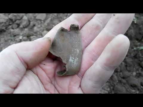 Видео: Поле, октябрь (Поиск с Квазар F3)