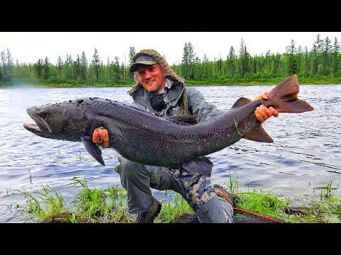 Видео: НА МОНСТРА-ЦАРЯ РЕК В РЕАЛЬНУЮ ДИЧЬ! ОТШЕЛЬНИК, ТАЙГА, ЮРТЫ, РЫБАЛКА часть 1