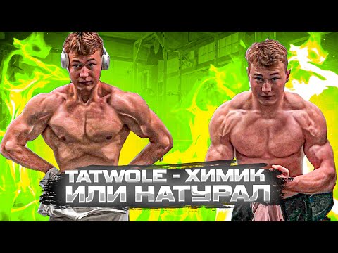 Видео: TATWOLE - ХИМИК ИЛИ НАТУРАЛ?! РАССЛЕДОВАНИЕ