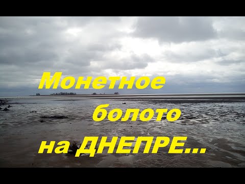 Видео: Коп на монетном болоте Днепра.Сколько монет в одном месте.коп 2019.Часть 2.