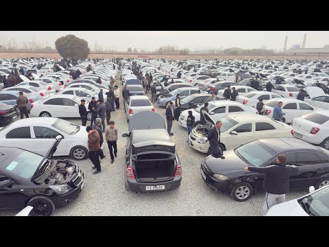 Видео: Хорезмский авторынок | Генераторы Great Cobalt в Хорезме