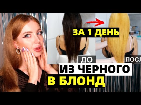 Видео: ВЫХОД ИЗ ЧЕРНОГО В БЛОНД ЗА 1 ДЕНЬ У SILENA SWAY. ЧТО СТАЛО С ВОЛОСАМИ