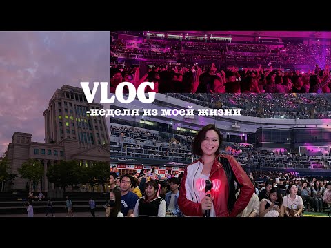 Видео: VLOG: первая неделя учёбы, концерт BLACKPINK