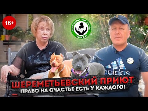 Видео: Шереметьевский приют. Право на счастье есть у каждого!