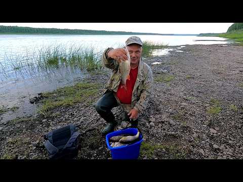 Видео: Через час можно было уезжать с рыбалки / Рыба на каждом забросе / Давно мечтал о таком клеве