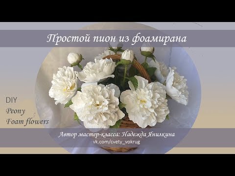 Видео: Простой пион из фоамирана мастер-класс / Peony | foam flowers | DIY