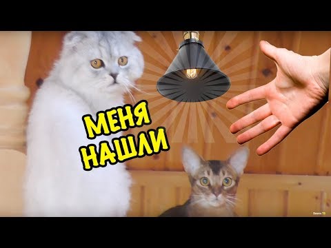 Видео: НОЧНЫЕ ПРЯТКИ В НАШЕМ ДОМЕ! HIDE AND SEEK IN MY HOUSE 2