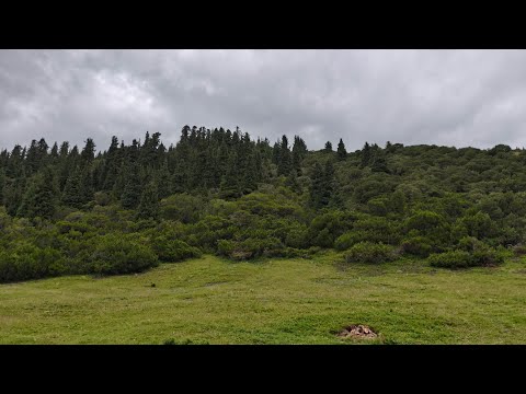 Видео: Плато Асы + ущелье Караарчисай