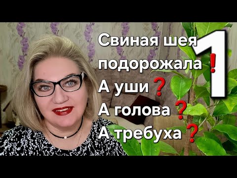 Видео: Свиная шея подорожала❗️А уши❓️А голова❓️А требуха❓️
