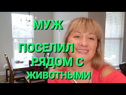 Видео: ВОСПОМИНАНИЯ.2022 ГОД. МОЙ ПРИЕЗД В США. ГДЕ МЫ ЖИЛИ ПЕРВЫЕ 10 ДНЕЙ.