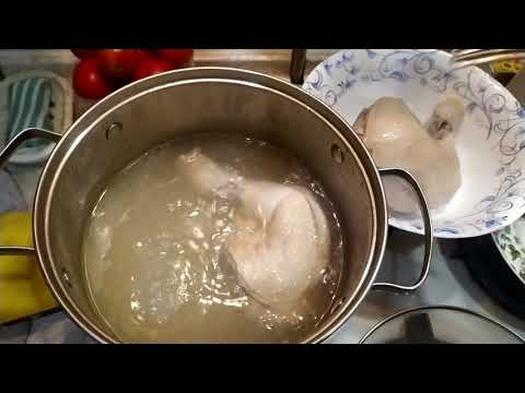 Видео: Прикорм той терьера. Нора - мамачка.