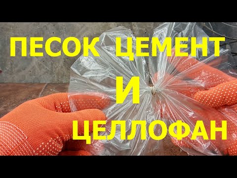 Видео: ВАЗОН ТЮЛЬПАН для Садовых Цветов и Комнатных