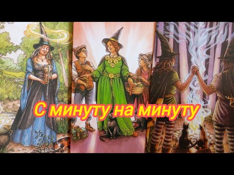 Видео: 🍁🕊️☀️С МИНУТУ НА МИНУТУ ☀️🕊️🍁