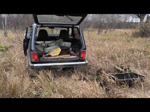 Видео: Засохшее болото, коп металлолома, неожиданные находки