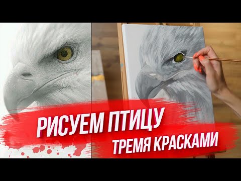 Видео: ШИКАРНАЯ КАРТИНА ТРЕМЯ КРАСКАМИ / РИСУЕМ ПТИЦУ АКРИЛОМ