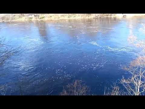 Видео: Река Плюсса в черте города Сланцы