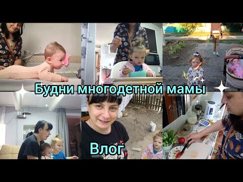 Видео: Будни многодетной мамы. День с нами. Влог.