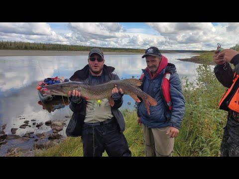 Видео: Река Собь, сплав и рыбалка. 2023 г.