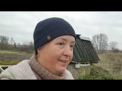 Видео: Последний урожай с огорода.