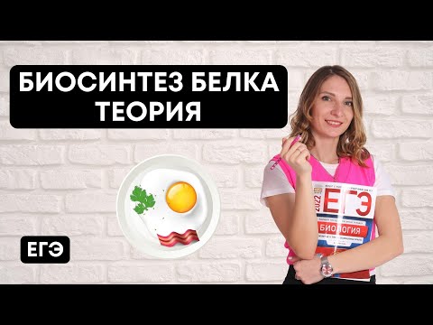 Видео: Биосинтез белка. Теория
