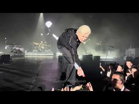 Видео: Диана Арбенина "ГАВАНЬ"