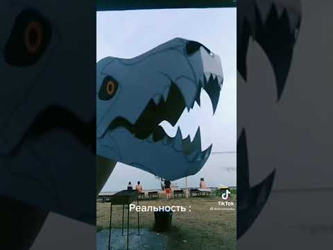 Видео: драконы из тик тока