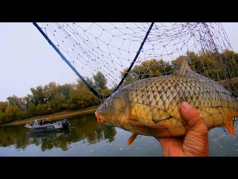 Видео: ЗА САЗАНОМ ПО ПРОВЕРЕННЫМ МЕСТАМ