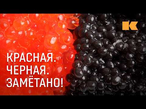 Видео: Все про икру: что нам продают и почему так дорого