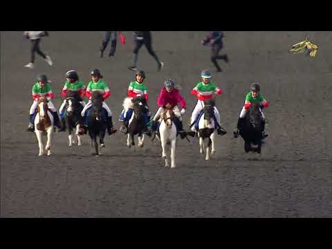 Видео: 7-я Скачка Приз «Юные Надежды». Казанский ипподром. 30.08.2023