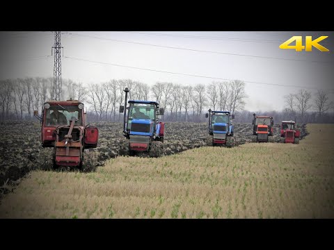 Видео: МЕГА-ВСПАШКА ПО-РУССКИ: тракторы Агромаш 90, ВТГ90 и ДТ75. Russian plowing with caterpillar tractors