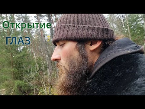 Видео: Мухоморная практика