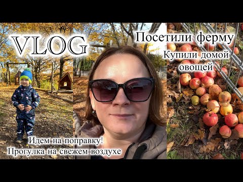 Видео: Поздние переселенцы в Германии 🇩🇪 Влог из жизни. Посетили ферму, купили овощей. 