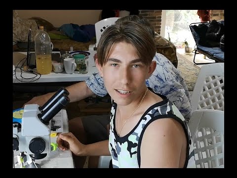 Видео: Недельная работа за 12 минут.  Матки ИО.