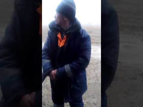 Видео: Сай-отес Толыбай ауылынын жан айкайы.