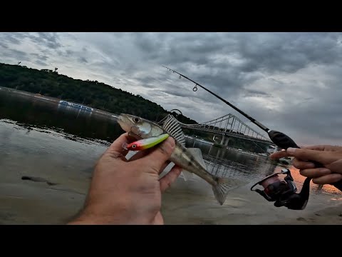 Видео: РОБОЧІЙ ВОБЛЕР НА СУДАКА ЧЕКАЕ ТЕБЕ📢🐟🎣🇺🇦🌱🔥📢