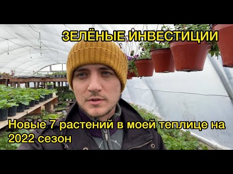 Видео: Как заработать 1000% инвестируя в растения