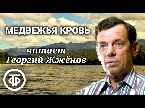 Видео: Виктор Астафьев. Медвежья кровь. Рассказ читает Георгий Жженов (1987)