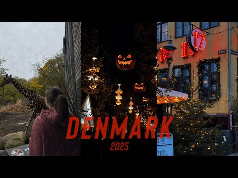 Видео: VLOG | КОПЕНГАГЕН за 4 дня | музеи, зоопарк, Tivoli