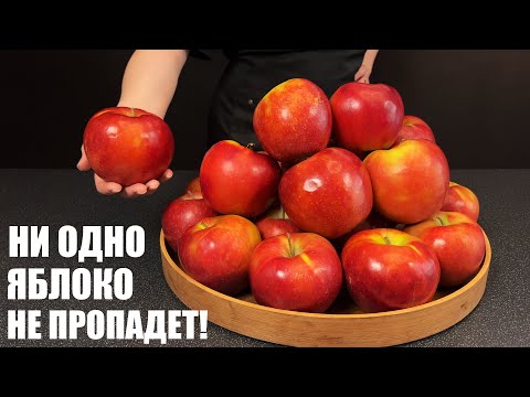 Видео: Не успеешь — пожалеешь! Шесть ЯБЛОЧНЫХ ЗАГОТОВОК до конца сезона